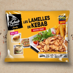 LAMELLES DE KEBAB FAMILY 400G